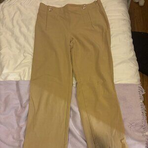 Ann Taylor Beige Pants